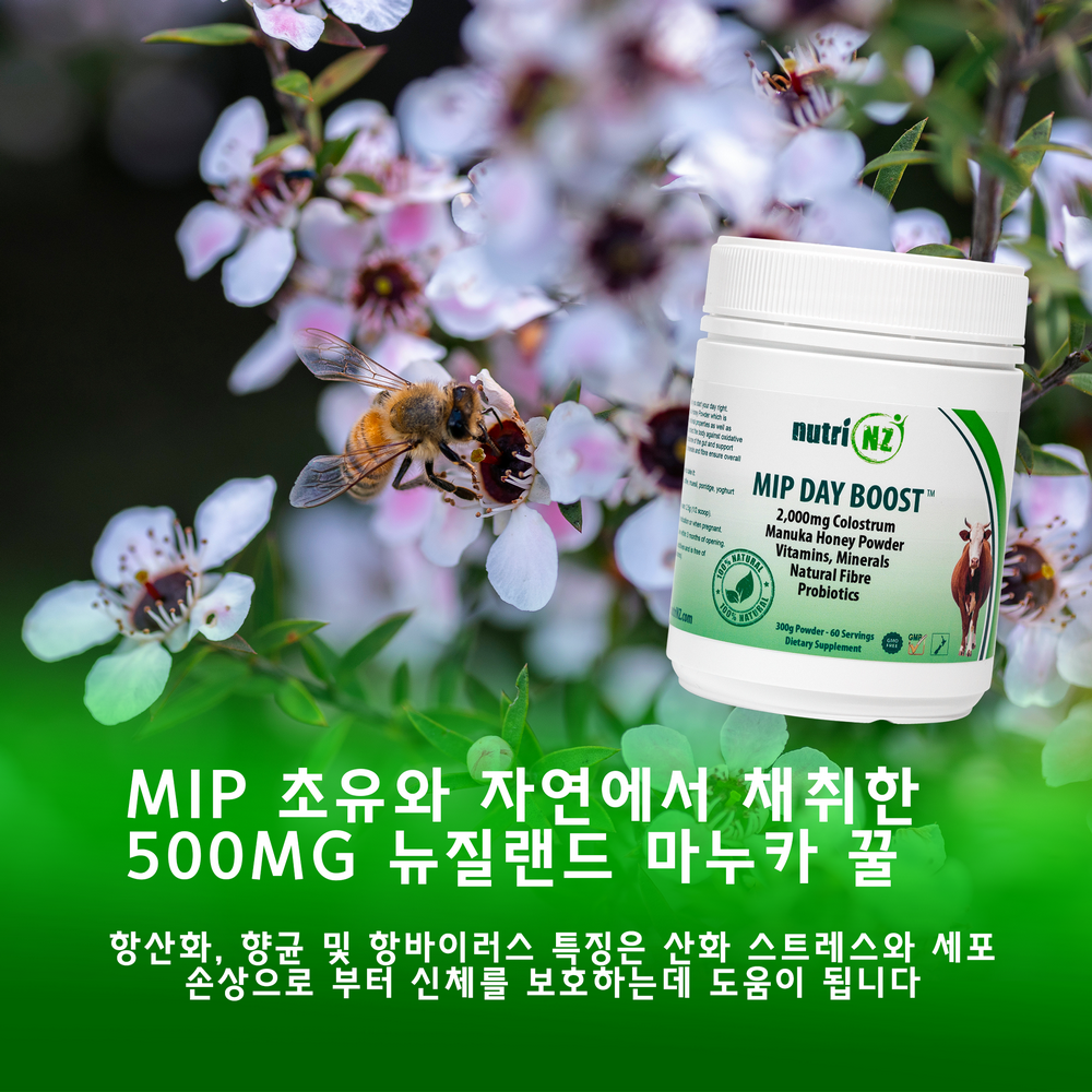 MIP 초유와 Boost Blend