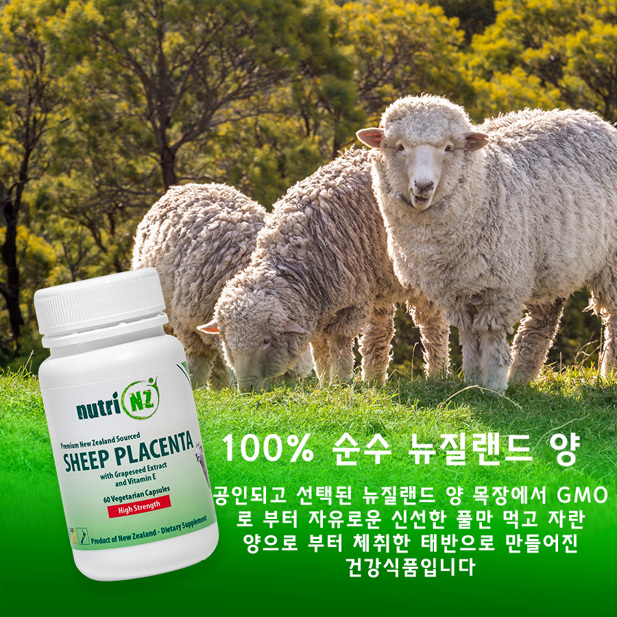 Sheep Placenta (양 태반) 캡슐